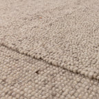 Larson Beige Rug