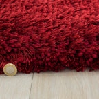 Plush Red Rug