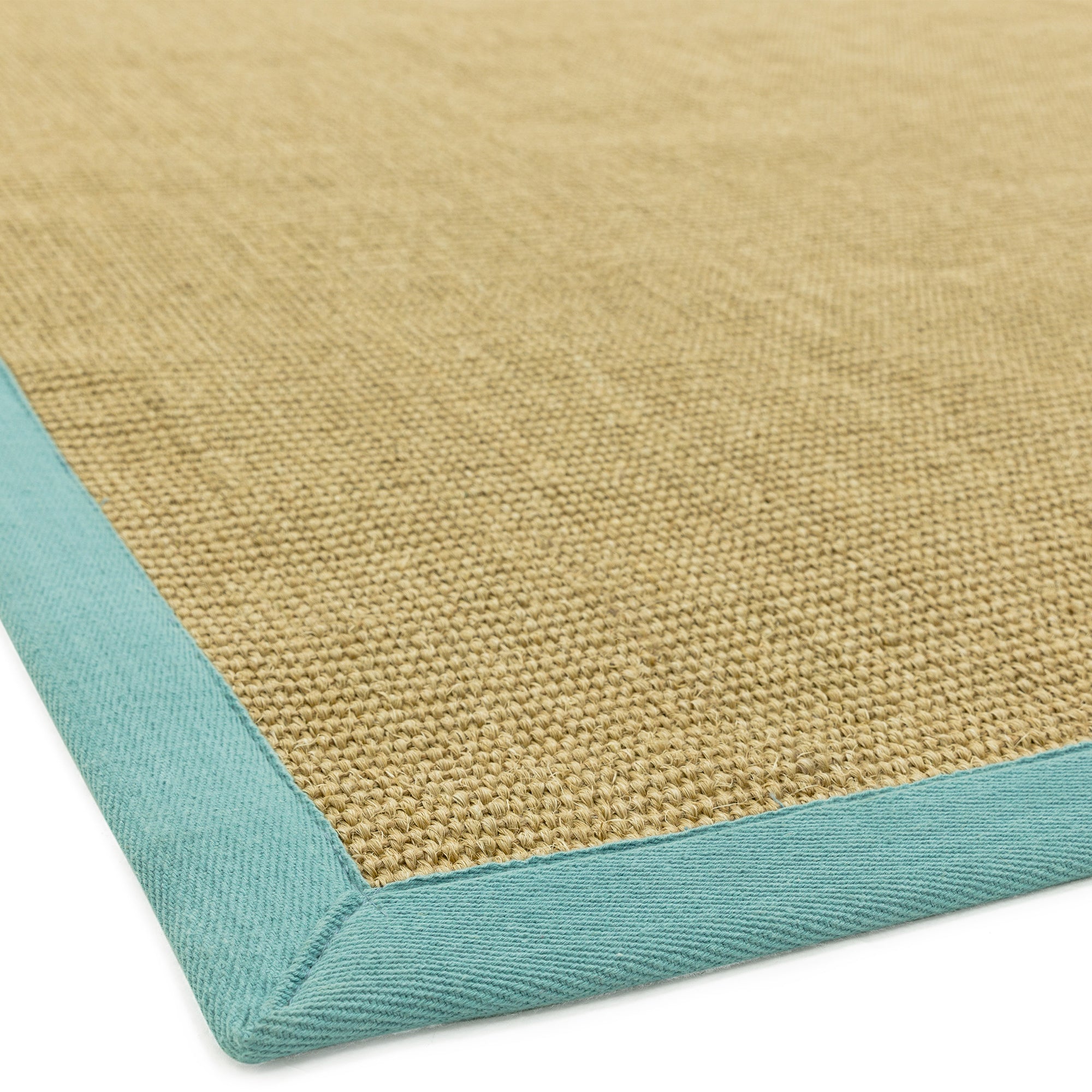 Sisal Linen/Aqua Border Rug