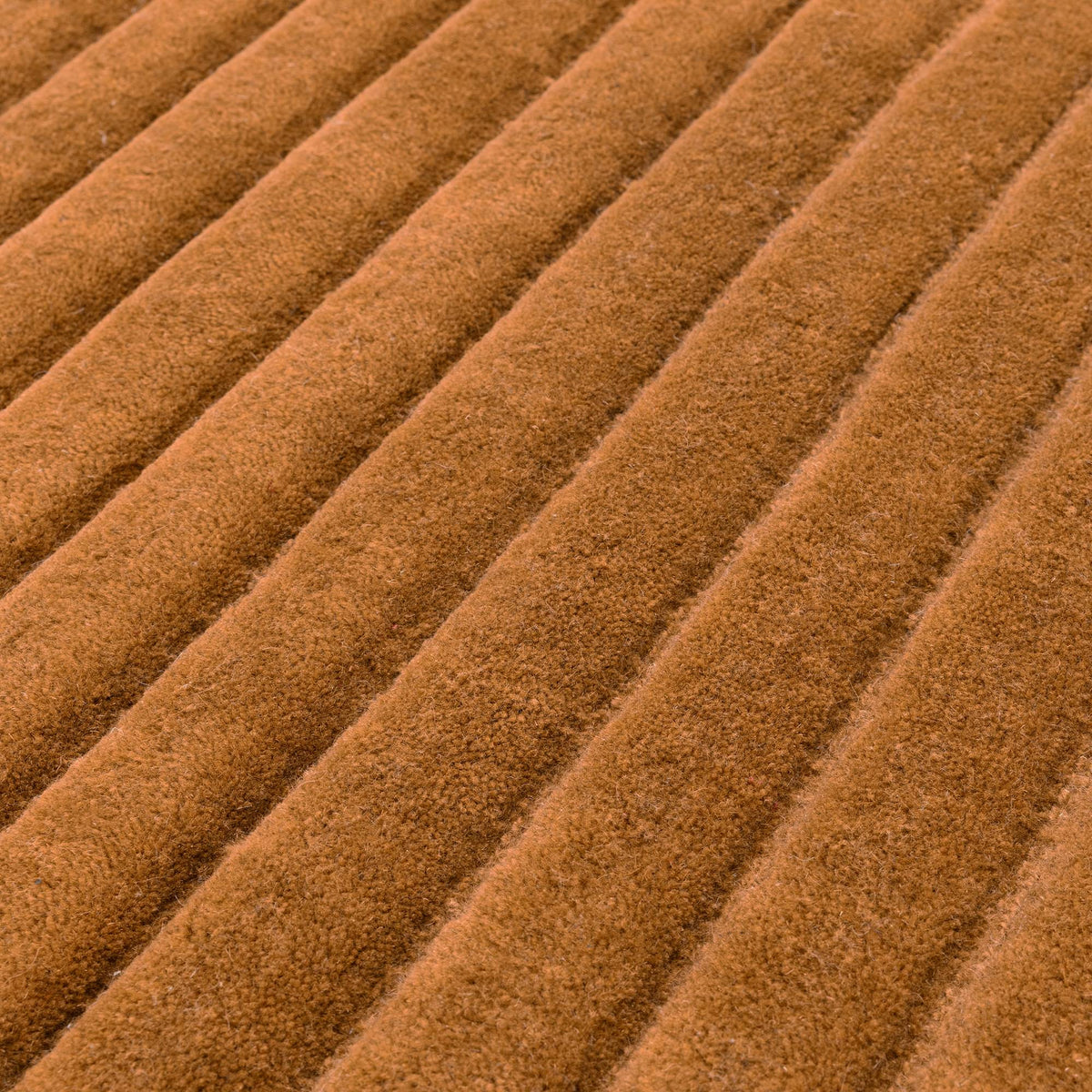 Linie Gold rug