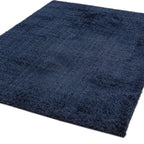Payton Navy Rug