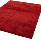 Payton Red Rug
