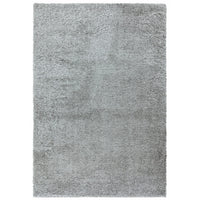 Payton Silver Rug