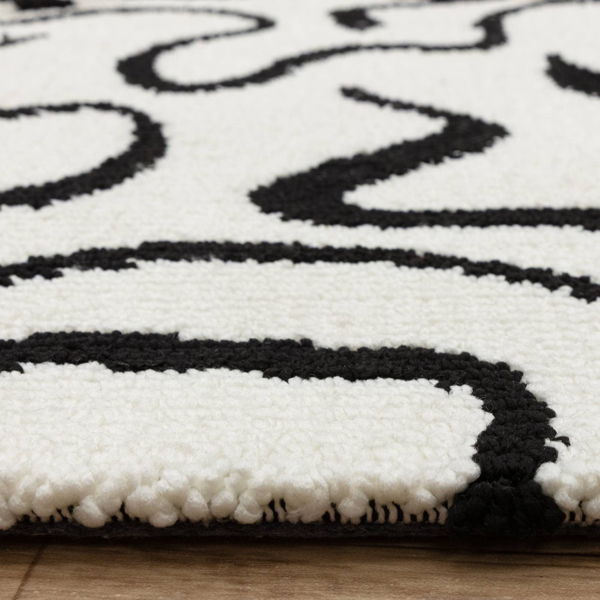 Wilder Zebra Mono Rug