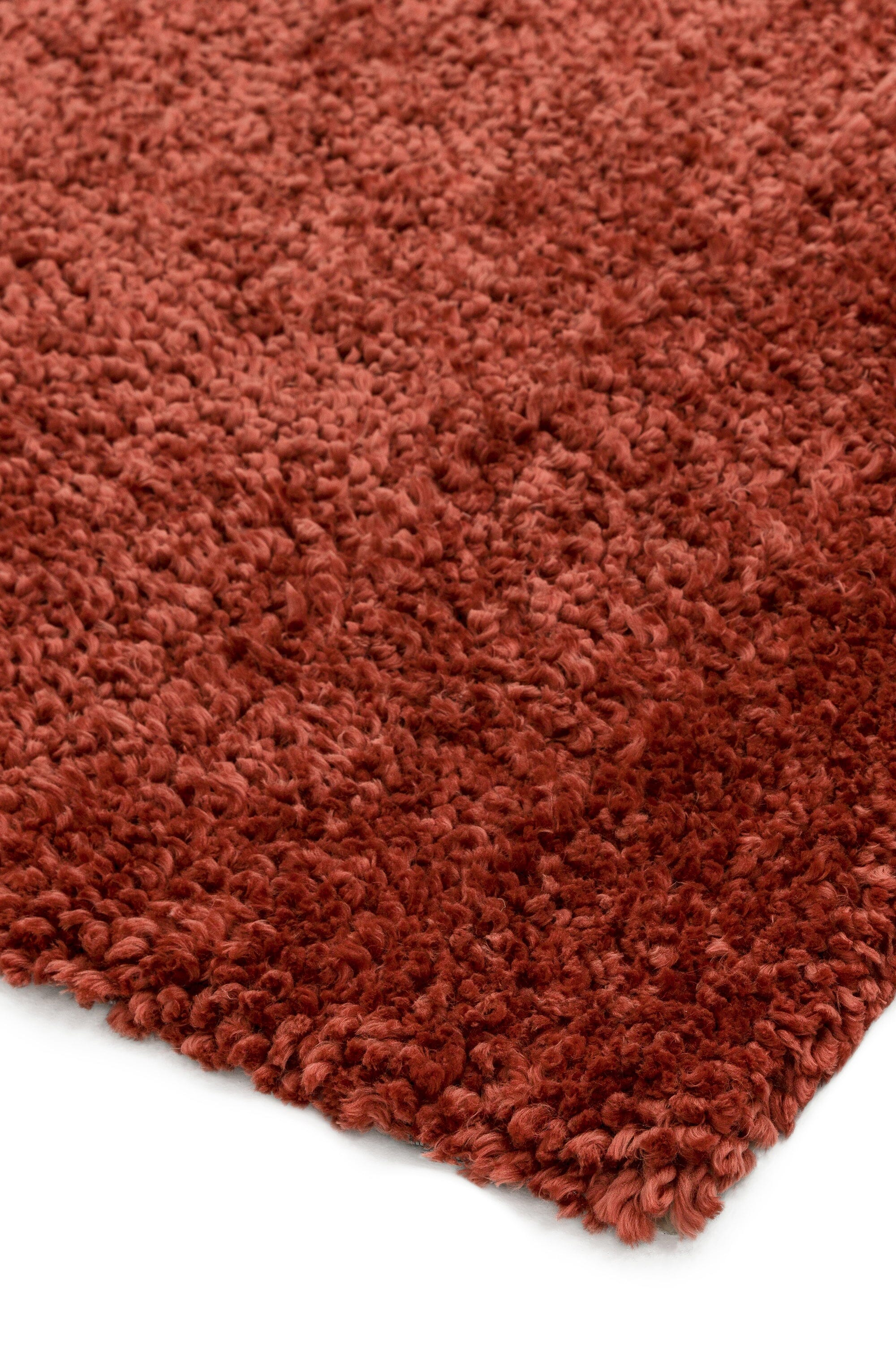 Spiral Coral Shaggy Rug